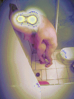 【最新封神 极品乱伦】海角社区乱伦大神强操哺乳期嫂子新作 